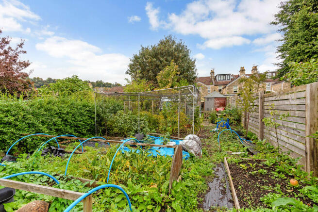 Vegetable Garden