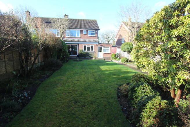 Photo 15