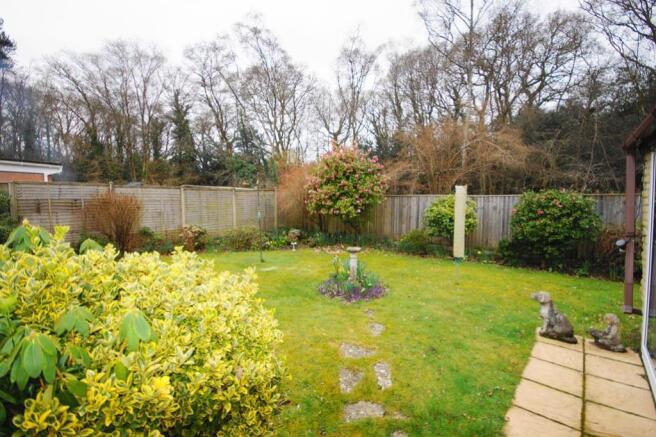 Sunny Garden