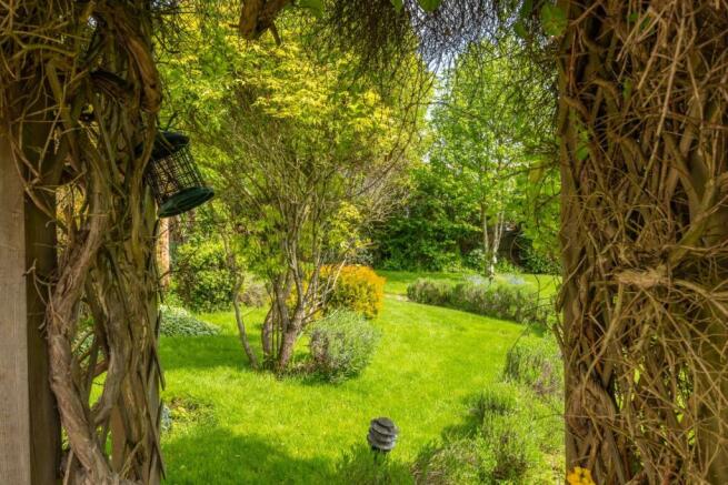 garden 11.jpg