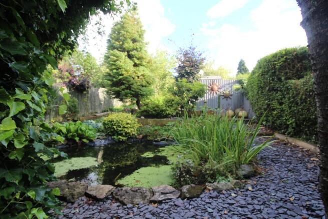 Pond