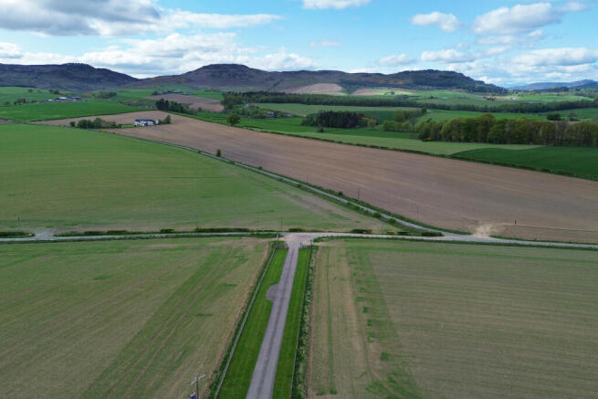 View Of The Surroundings