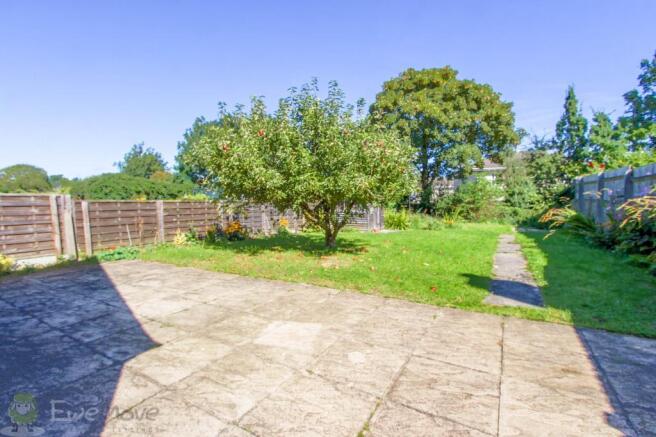 Garden at Back