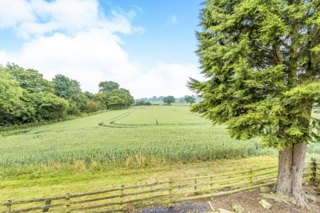 Rural Views