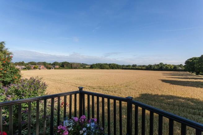 View from Terrace
