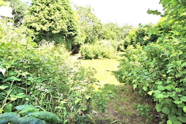 SECOND GARDEN PLOT