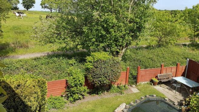 Garden and View