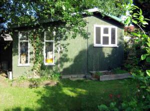 Photo 11