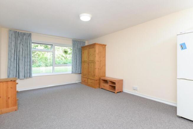 Living room/Bedroom