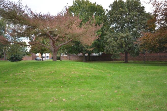 Garden 2