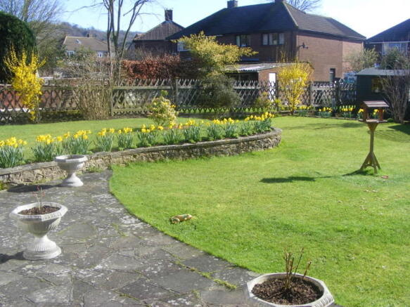 Photo 5