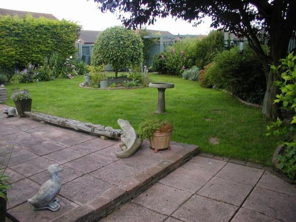 Photo 7