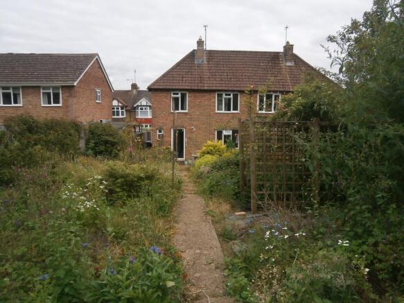 Image 8