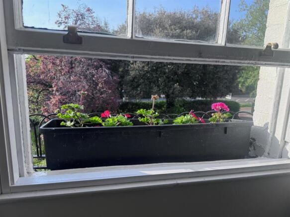 window box.jpg