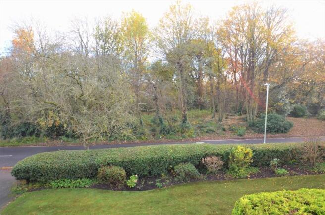 front garden .jpg