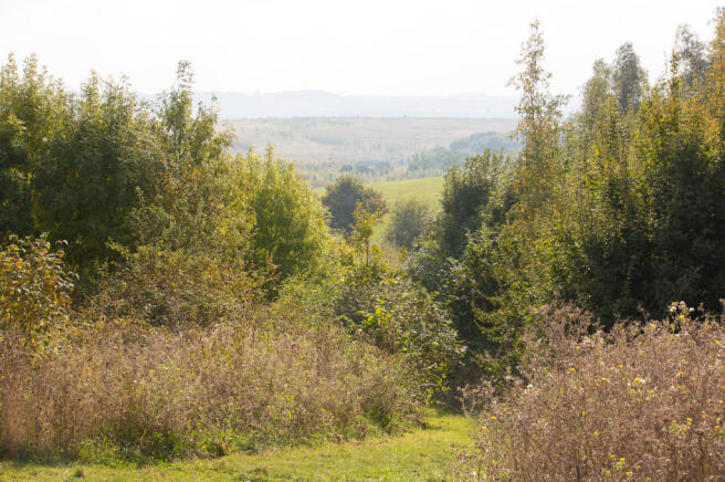 Cranfield Park