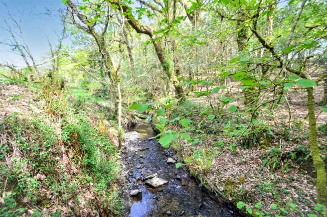 Stream