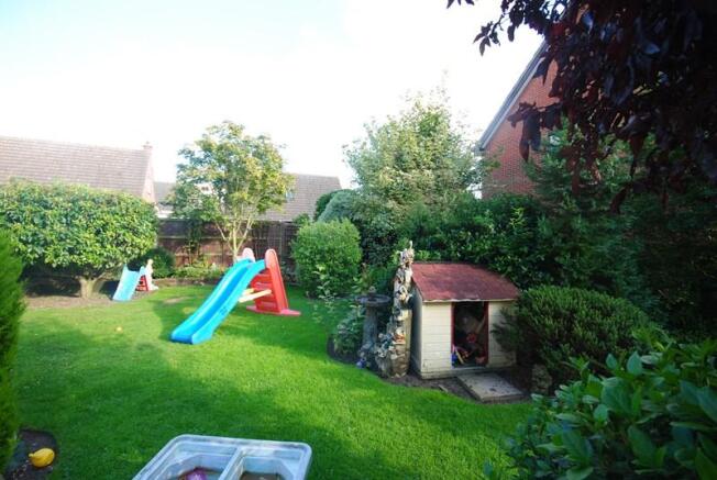 Photo 11