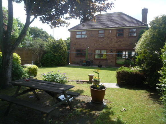 Photo 15