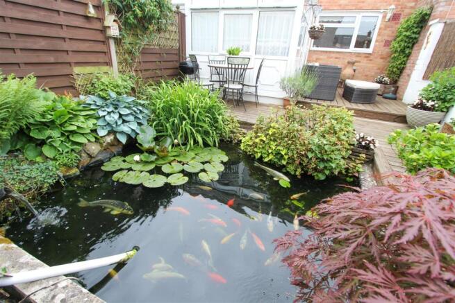 Pond.jpg