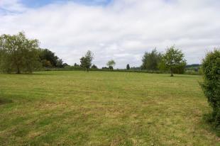 2 Acre Pasture