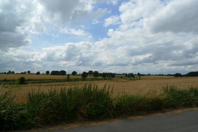 field views