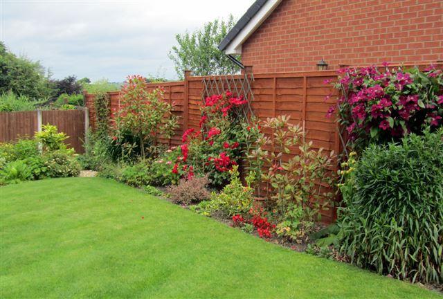 rear garden..