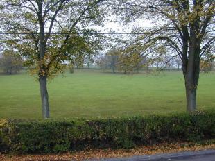 View to front