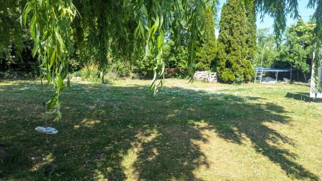 Photo 28