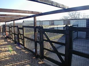 KENNELS
