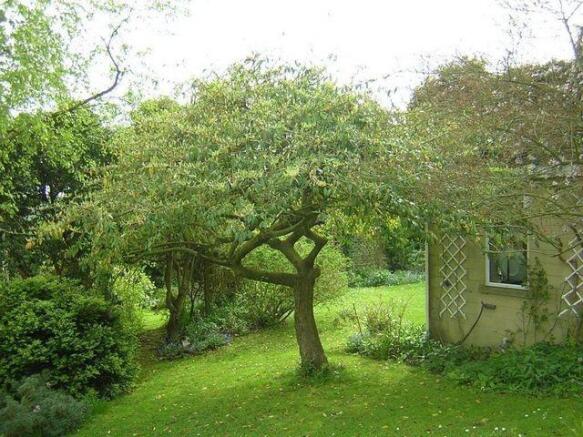 Side Garden