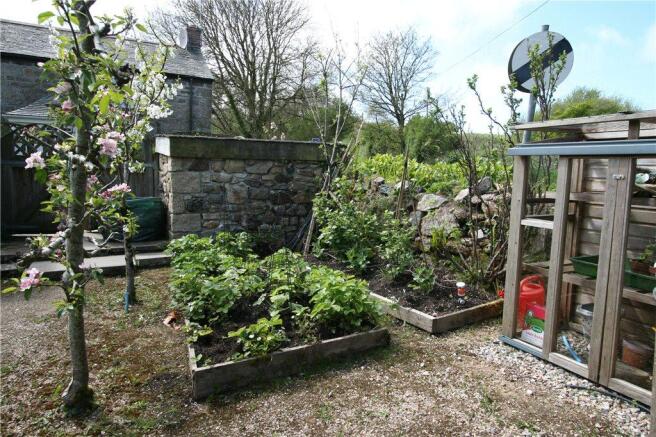Vegetable Patch