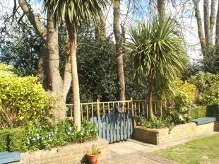Garden 4