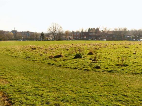 playing field