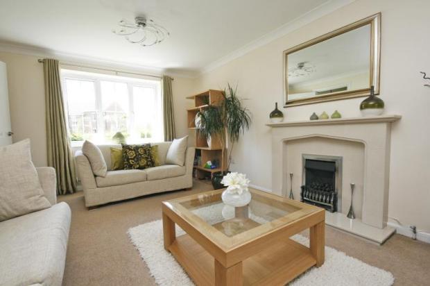 Picture No.24