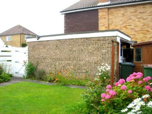 Back Garden