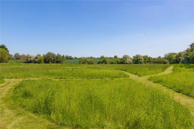 Meadow/Paddock
