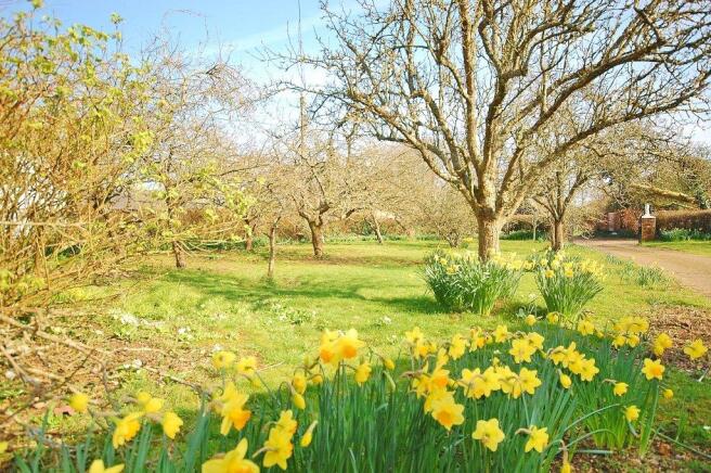 GARDEN 2