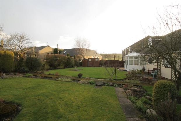 Garden Pic 2