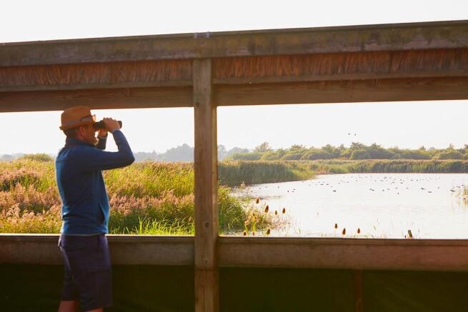Enjoy bird watching