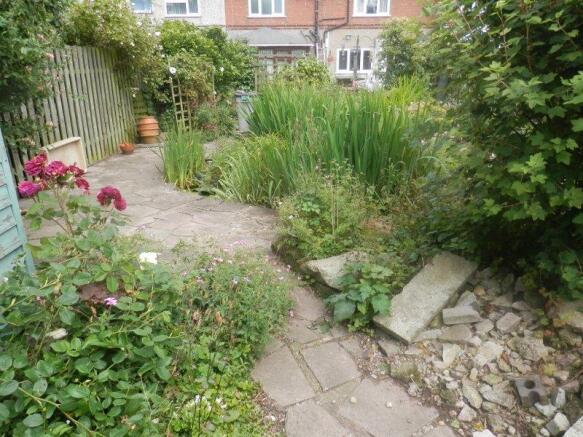 Photo 21