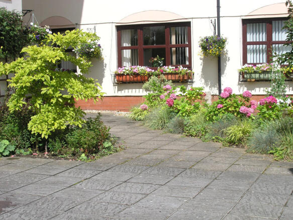 Photo 11