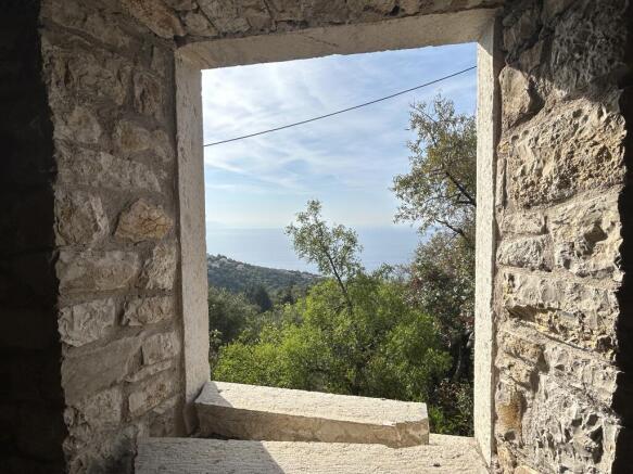 Window view