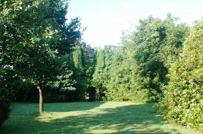 Side garden(2012)