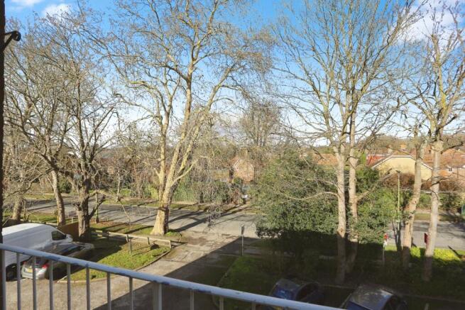 pbox-IMG.jpg