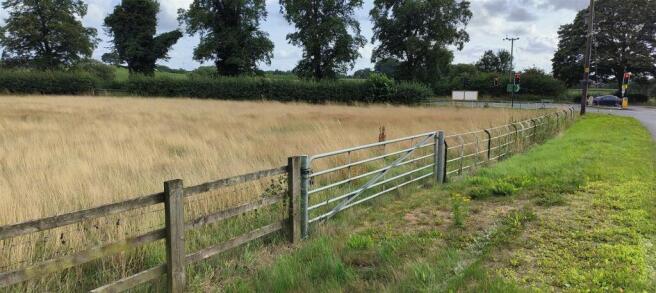 IMG20250805170023 (1).jpg