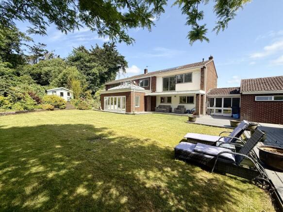 Back Garden