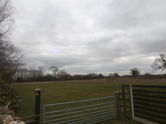 Image 12