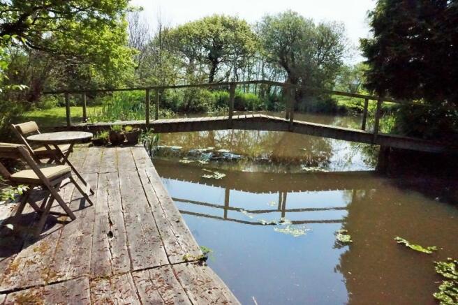 Pond