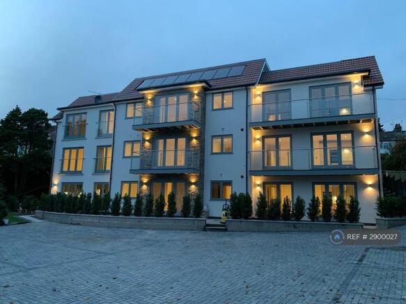 Rear View At Night
